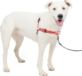 PetSafe Easy Walk Deluxe Dog Harness, No Pull Dog Harness  Perfect for Leash & Harness Training  Stops Pets from Pulling and Choking on Walks  Medium/Large, Rose