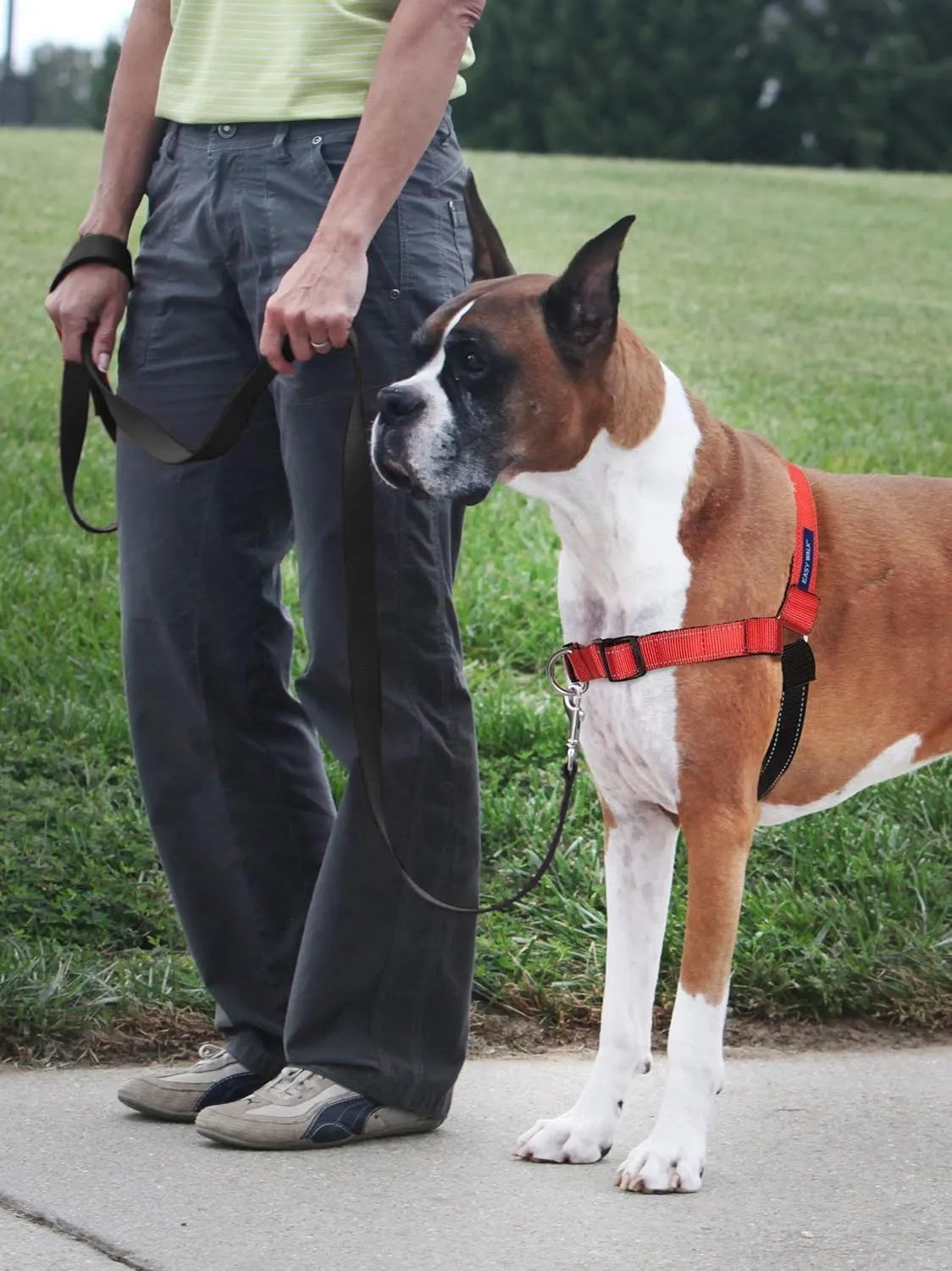 PetSafe Easy Walk Deluxe Dog Harness, No Pull Dog Harness  Perfect for Leash & Harness Training  Stops Pets from Pulling and Choking on Walks  Medium/Large, Rose