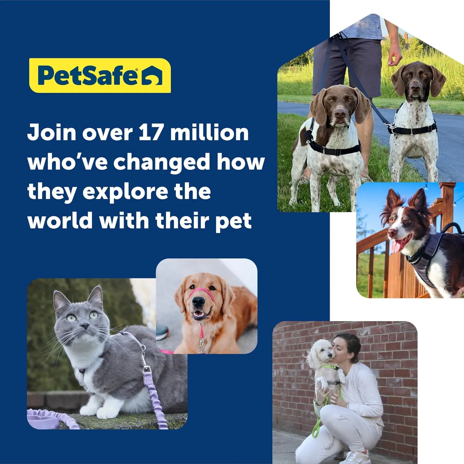 PetSafe Easy Walk No-Pull Dog Harness - The Ultimate Harness to Help Stop Pulling - Take Control & Teach Better Leash Manners - Helps Prevent Pets Pulling on Walks, Medium, Raspberry/Gray