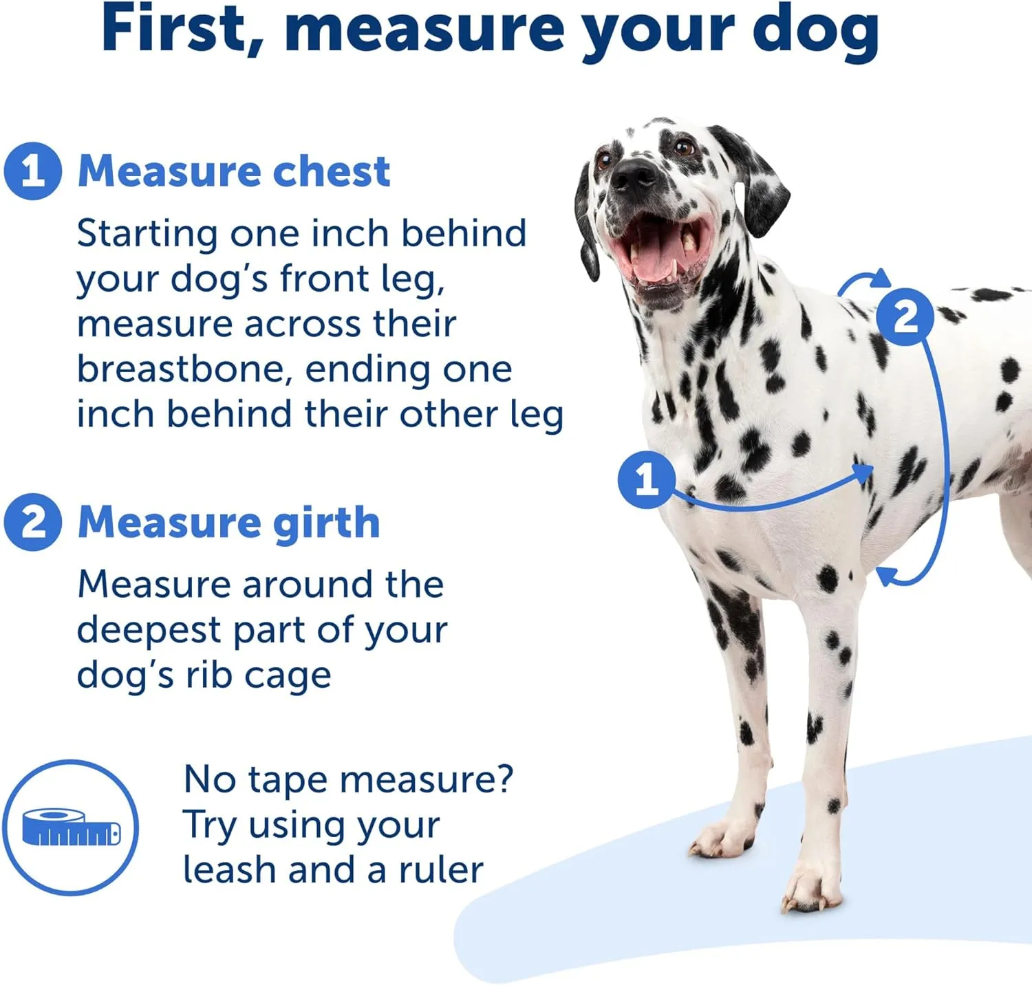 PetSafe Easy Walk No-Pull Dog Harness - The Ultimate Harness to Help Stop Pulling - Take Control & Teach Better Leash Manners - Helps Prevent Pets Pulling on Walks, Medium, Raspberry/Gray