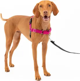 PetSafe Easy Walk No-Pull Dog Harness - The Ultimate Harness to Help Stop Pulling - Take Control & Teach Better Leash Manners - Helps Prevent Pets Pulling on Walks, Medium, Raspberry/Gray