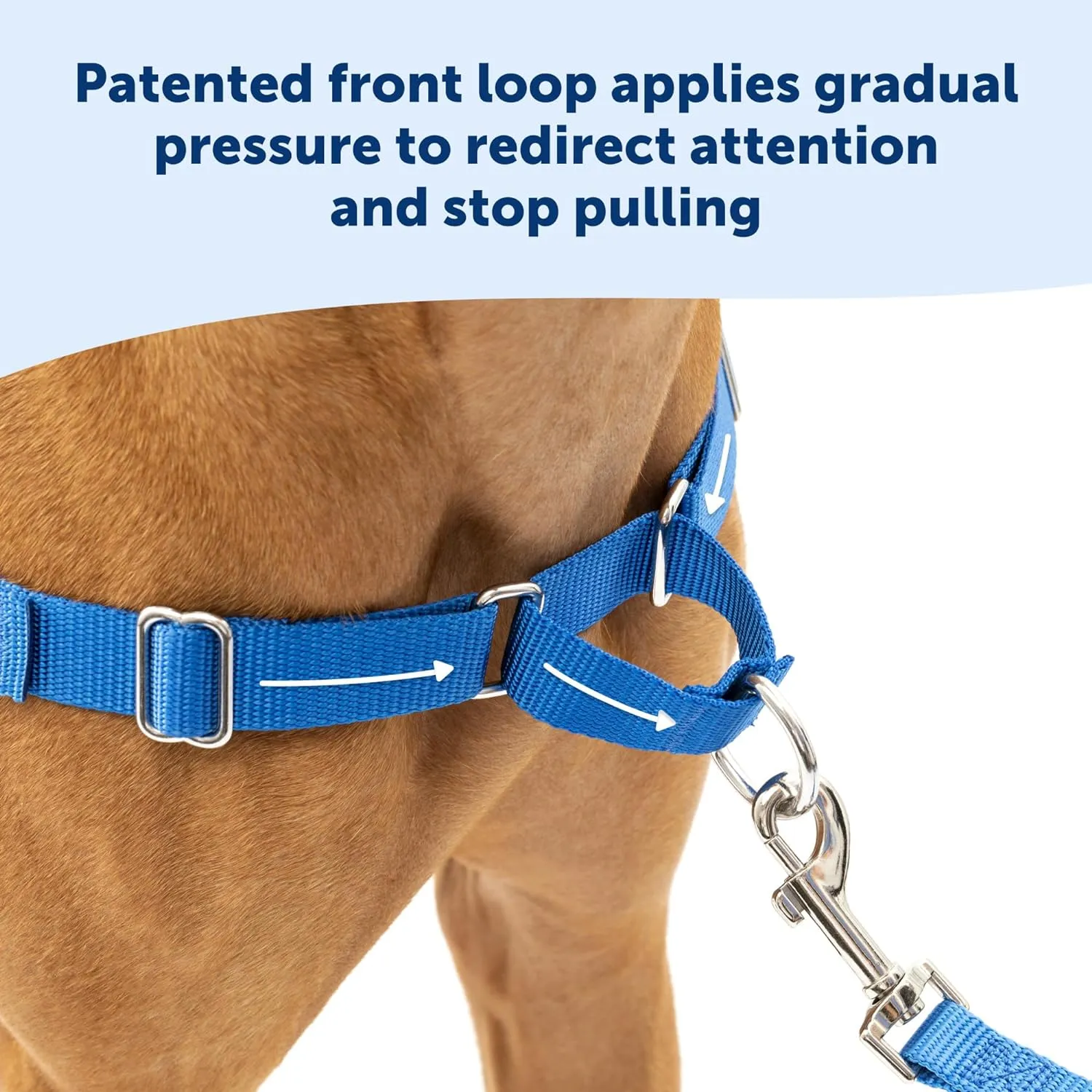 PetSafe Easy Walk No-Pull Dog Harness - The Ultimate Harness to Help Stop Pulling - Take Control & Teach Better Leash Manners - Helps Prevent Pets Pulling on Walks, Medium, Raspberry/Gray