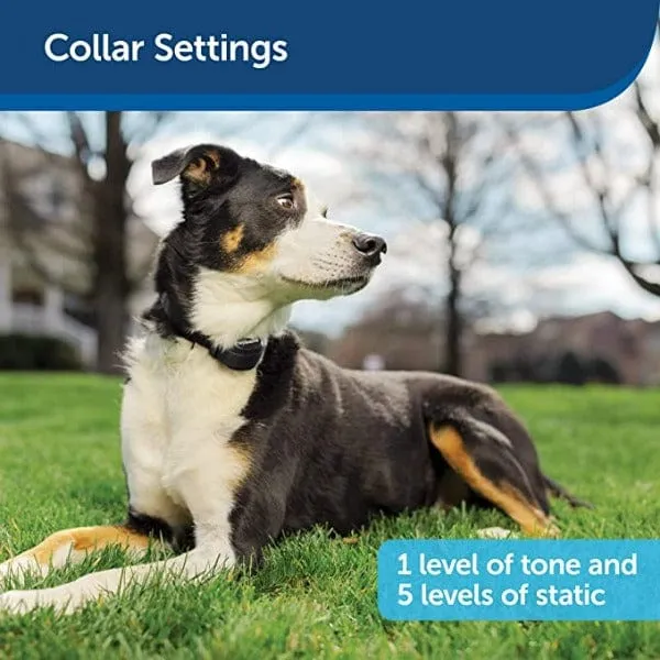 PetSafe Stay & Play Compact Wireless Fence System