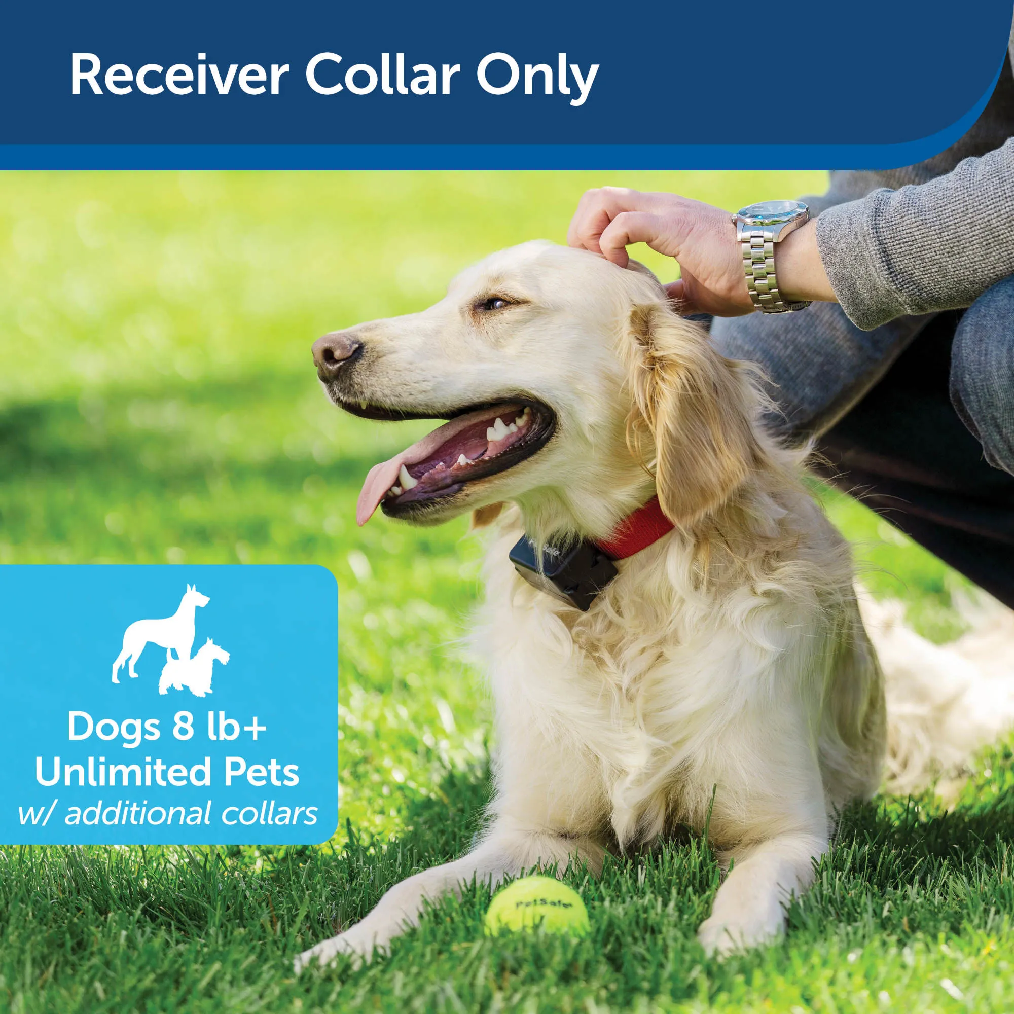 PetSafe Stubborn Dog Receiver Collar Only - In-Ground Fence Collar, Waterproof, with Tone, Vibration and Static Correction for Dogs 8lb and Up - From The Parent Company of INVISIBLE FENCE Brand
