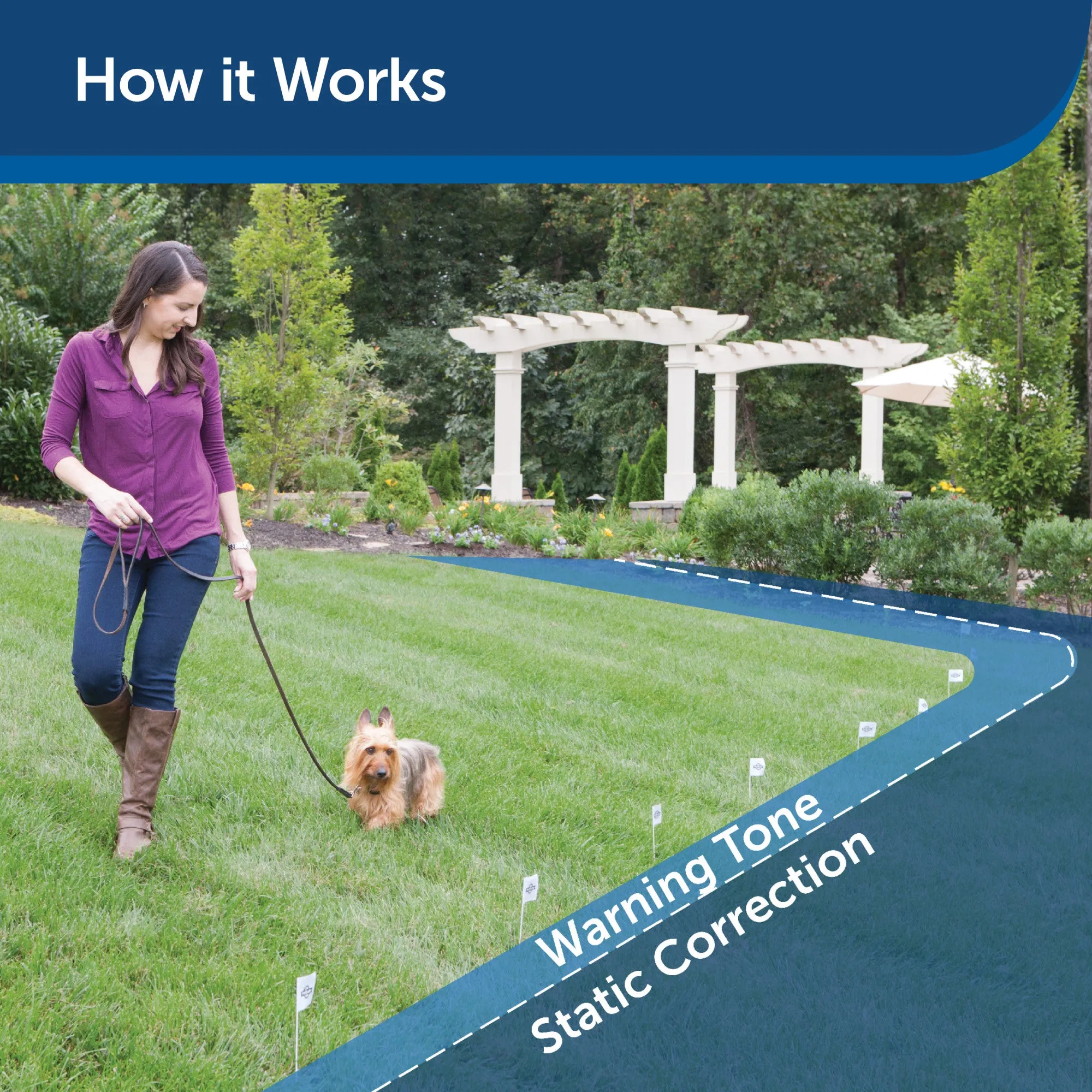 PetSafe Stubborn Dog Receiver Collar Only - In-Ground Fence Collar, Waterproof, with Tone, Vibration and Static Correction for Dogs 8lb and Up - From The Parent Company of INVISIBLE FENCE Brand