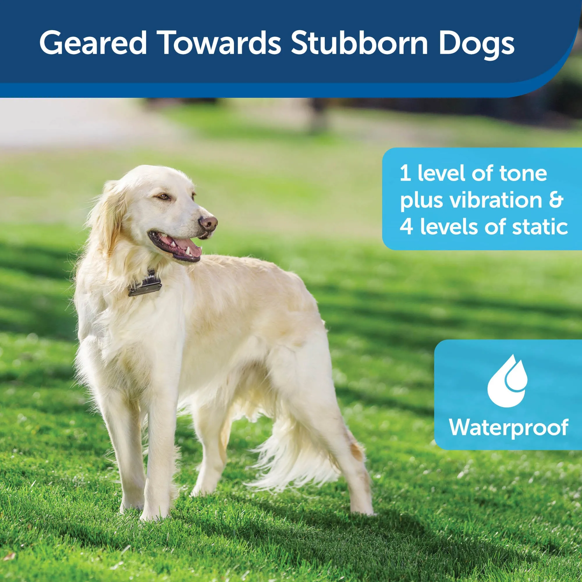 PetSafe Stubborn Dog Receiver Collar Only - In-Ground Fence Collar, Waterproof, with Tone, Vibration and Static Correction for Dogs 8lb and Up - From The Parent Company of INVISIBLE FENCE Brand