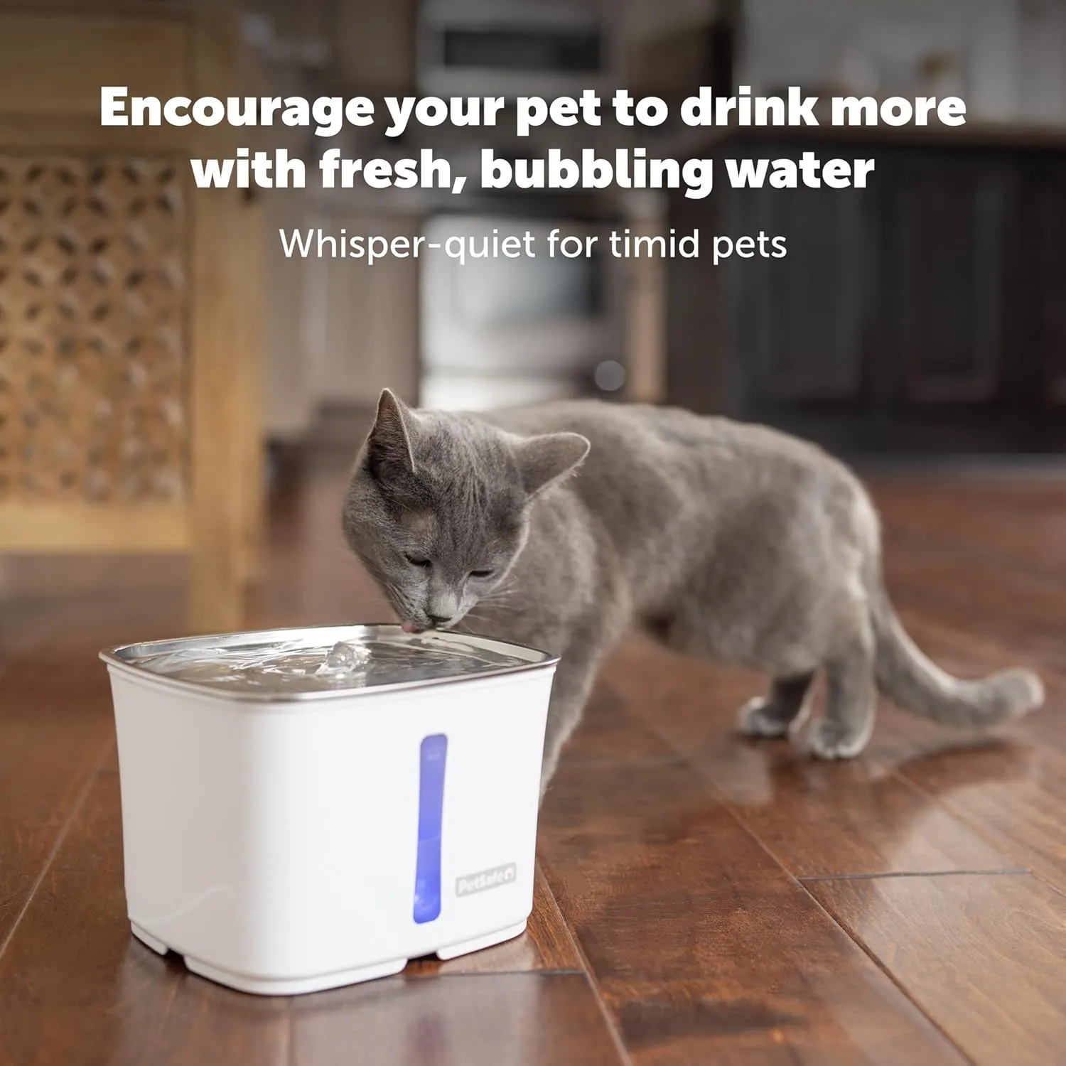 PetSafe Viva Cat Water Fountain (64oz/1.8L)  Indoor Water Dispenser for Cats and Small Dogs, Stainless-Steel Bowl with Whisper Quiet Pump, Dishwasher Safe, Easy to Clean, Water Filters Included