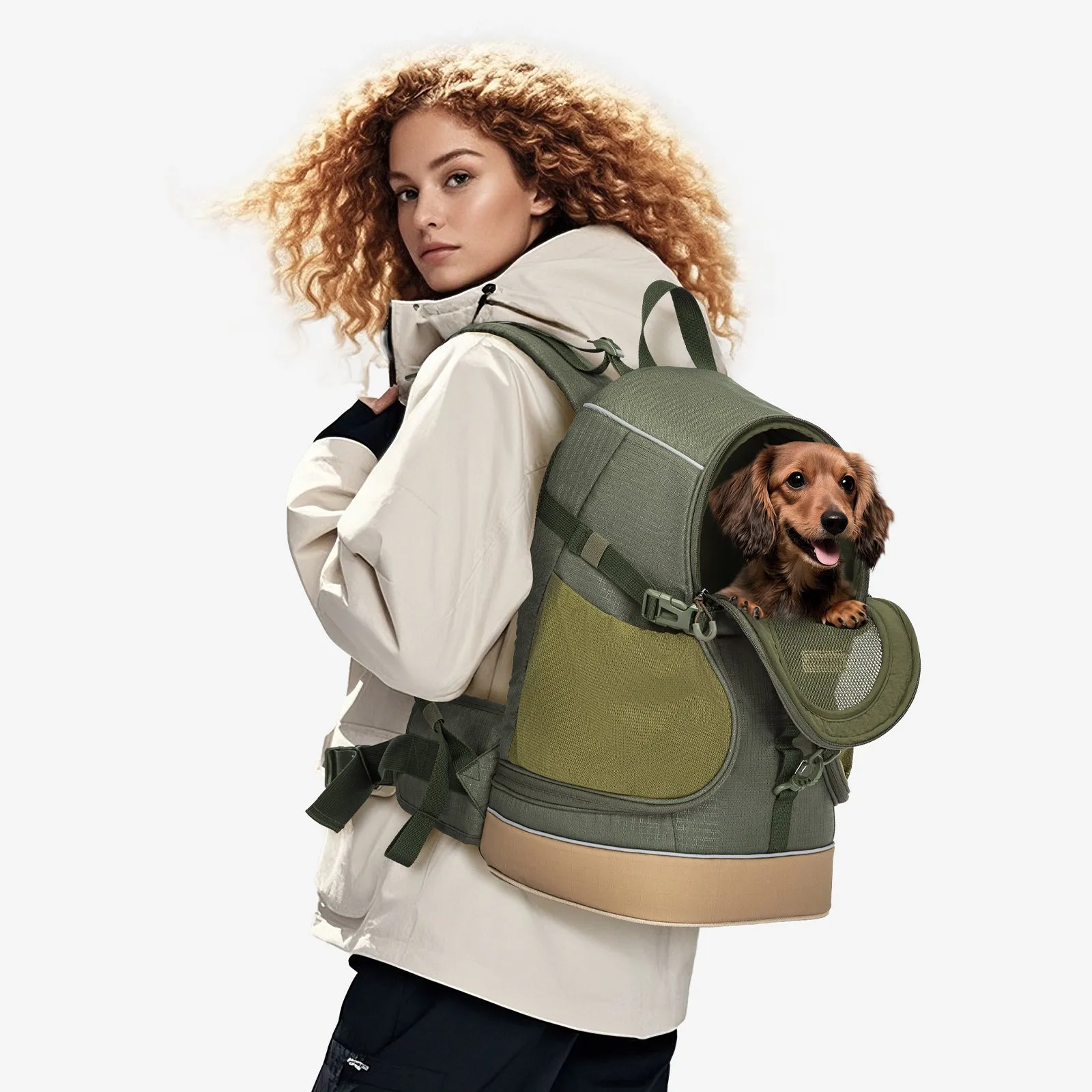 PETSFIT WildPath Pet Carrier Backpack with Telescopic Handle and Reflective Strips