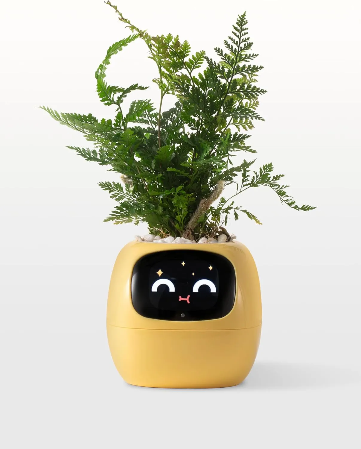 Plantagotchi AI Plant Pot with Expression - Smart Planter Robot Guidance on Plant Companion with Rich Gesture Interaction, Desk Setup Gift (Yellow)