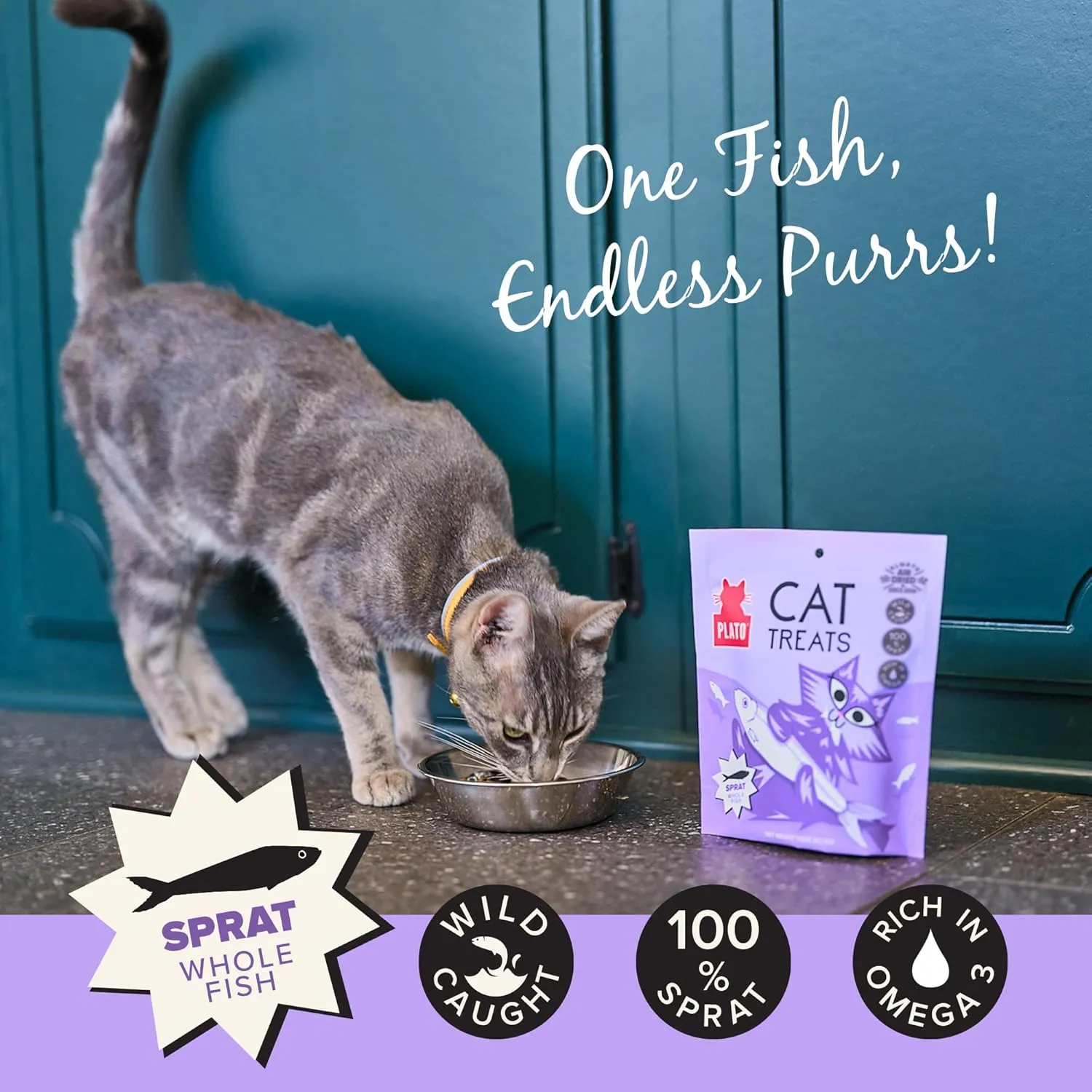 PLATO Pet Treats Cat Treats - Single Ingredient, Healthy Treats for Indoor Cats - Wild Caught Baltic Sprat - Air Dried Fish for Cats - 1.5 oz