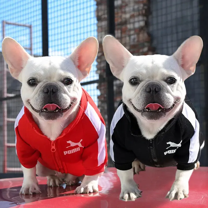 Prestigious Stylish Sweatshirt for Dogs