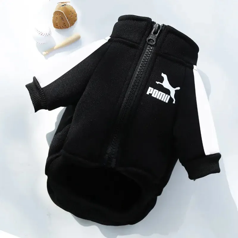 Prestigious Stylish Sweatshirt for Dogs