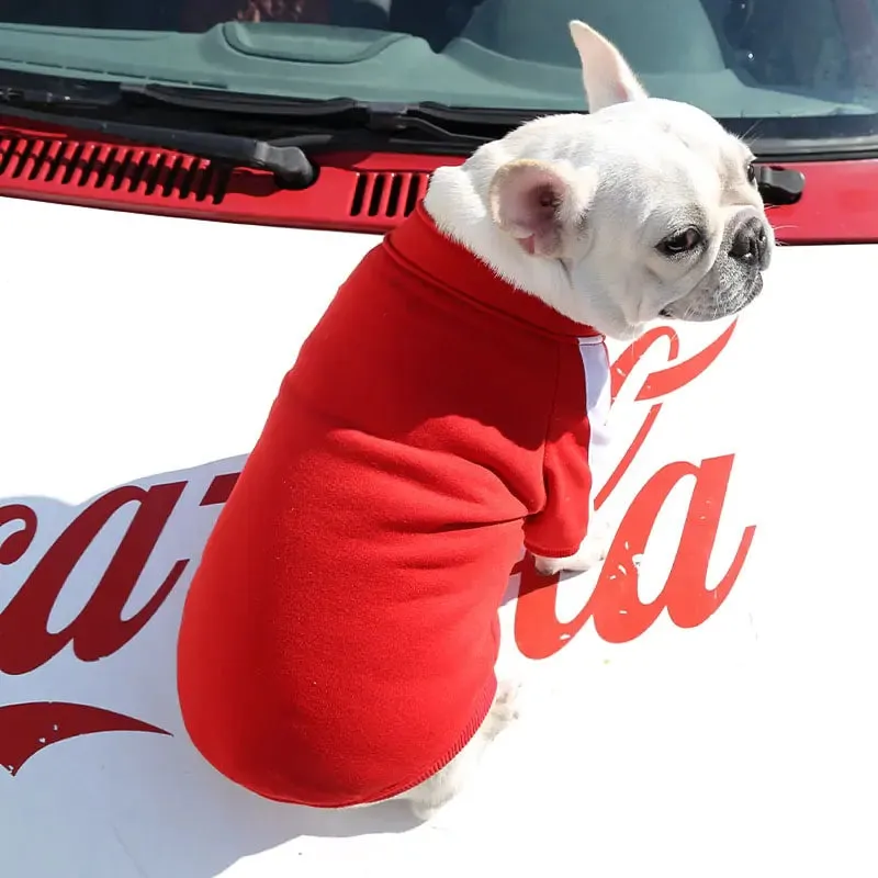 Prestigious Stylish Sweatshirt for Dogs