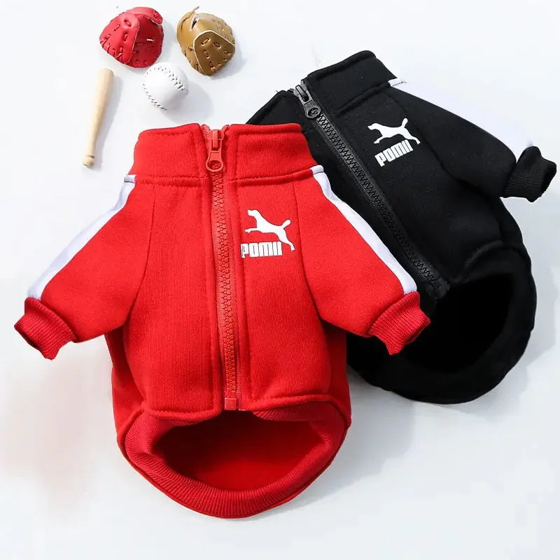 Prestigious Stylish Sweatshirt for Dogs