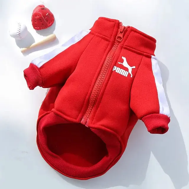 Prestigious Stylish Sweatshirt for Dogs