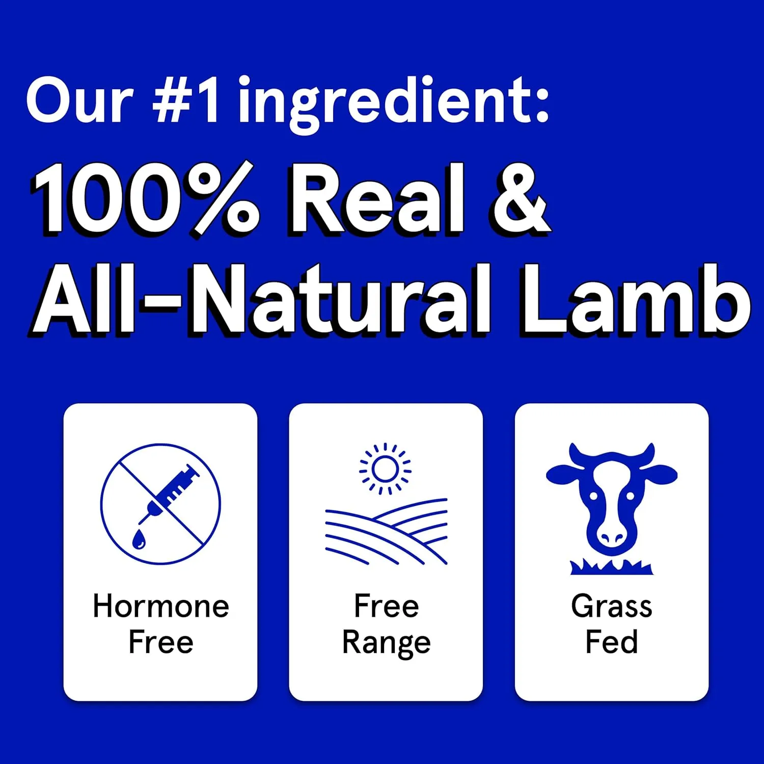 Real Meat Dog Treats - 4oz Bag of Bite-Sized Air-Dried Lamb Jerky for Dogs - Grain-Free Jerky Pet Treats Made up of 95% Free-Range, Grass Fed Lamb - All-Natural High Protein