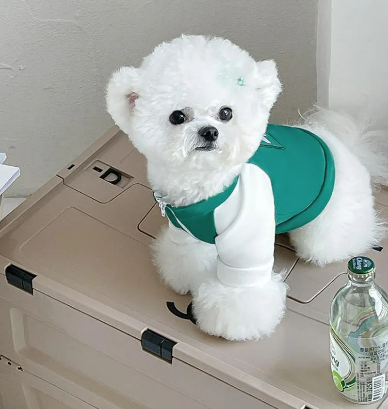 Spring and Autumn Puppy Dog Cat Sweater Two Feet Pet Clothes Bottoming Shirt
