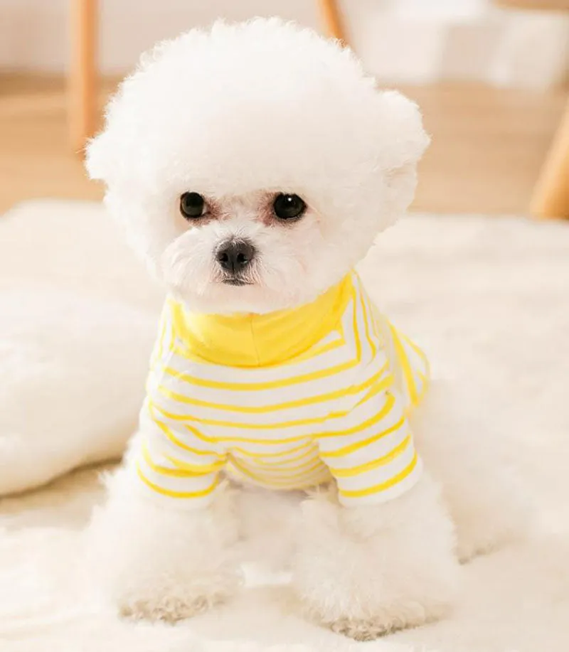 Spring and Autumn Puppy Dog Cat Sweater Two Feet Pet Clothes Bottoming Shirt