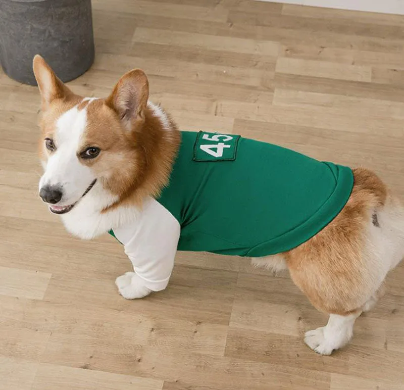 Spring and Autumn Puppy Dog Cat Sweater Two Feet Pet Clothes Bottoming Shirt
