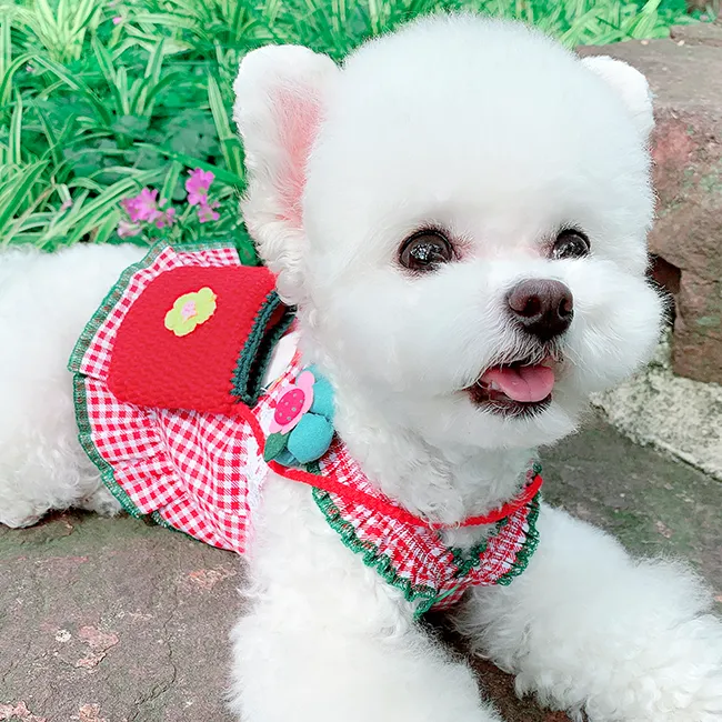 Summer Buffalo Plaid Dog Dress