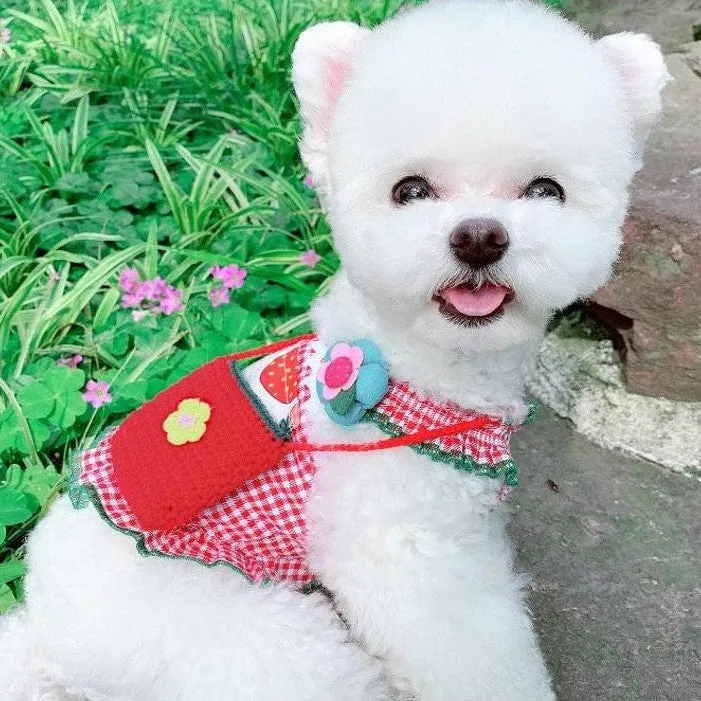Summer Buffalo Plaid Dog Dress