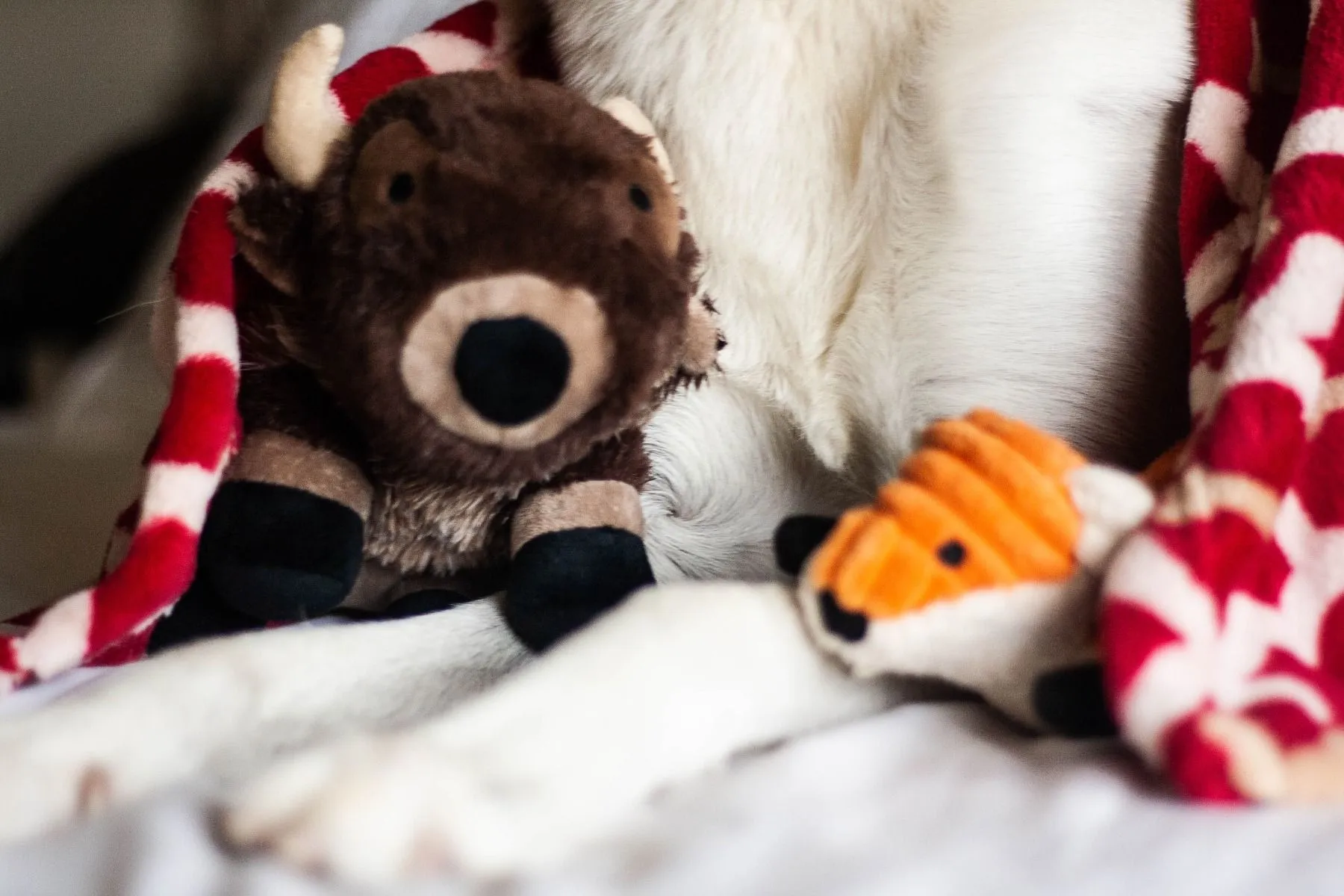 Tall Tails Dog Toy Plush Fox
