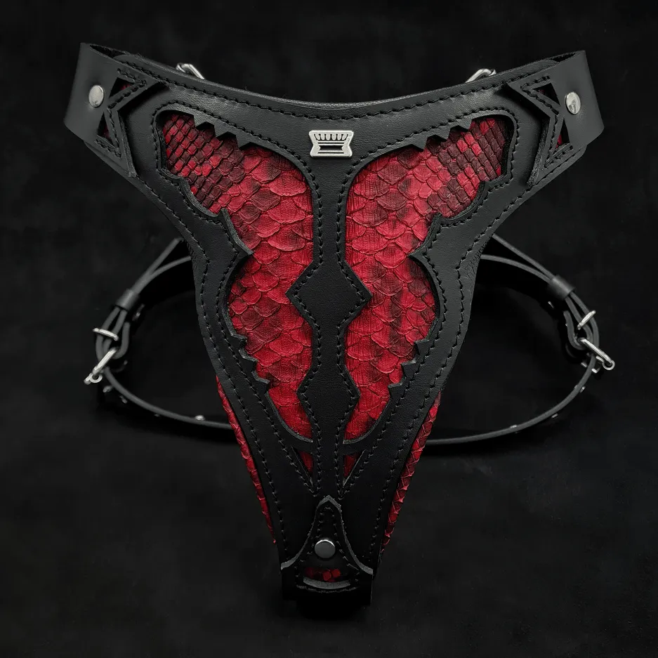 The ''Red Dragon'' harness