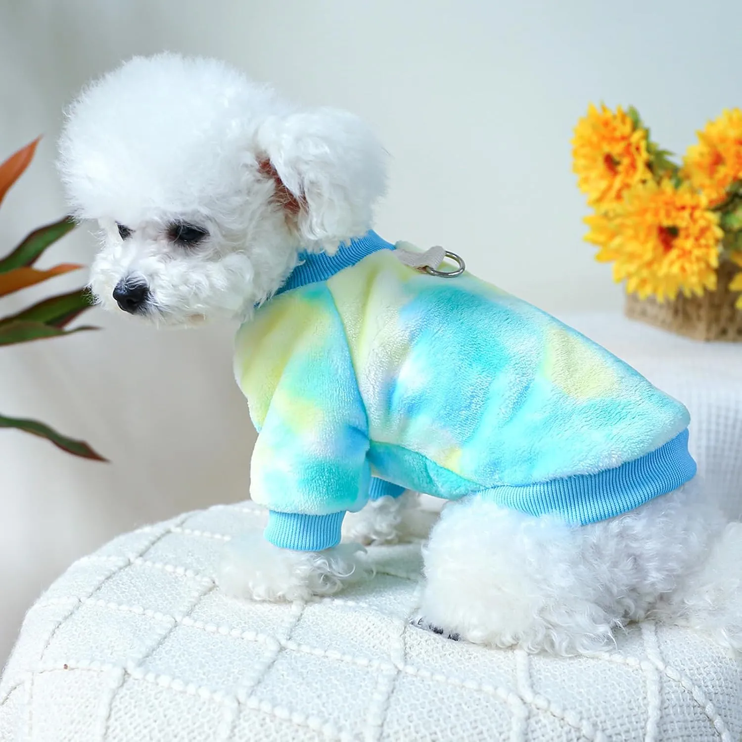 Ultra Soft and Warm Puppy Cat Pet Sweater and Coat for Small Dogs - Girl or Boy - Blue, XL