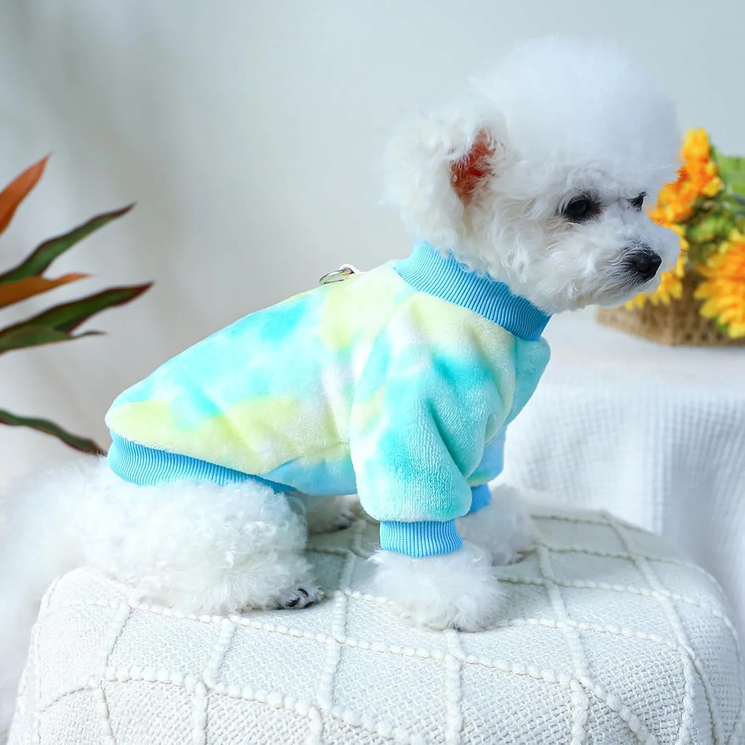 Ultra Soft and Warm Puppy Cat Pet Sweater and Coat for Small Dogs - Girl or Boy - Blue, XL
