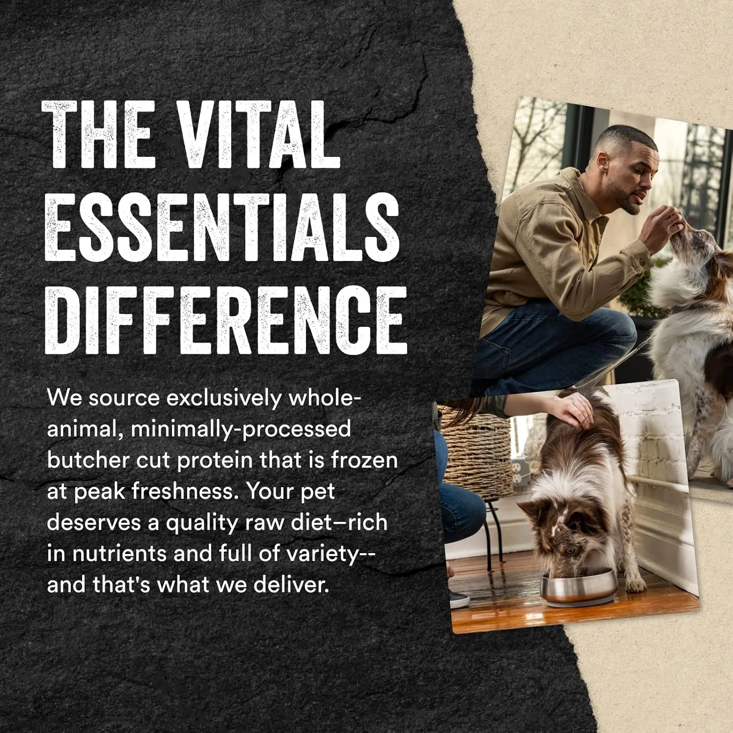 Vital Essentials Chicken Breast Dog Treats, 2.1 oz | Freeze-Dried Raw | Single Ingredient |Premium Quality High Protein Training Treats | Grain Free, Gluten Free, Filler Free
