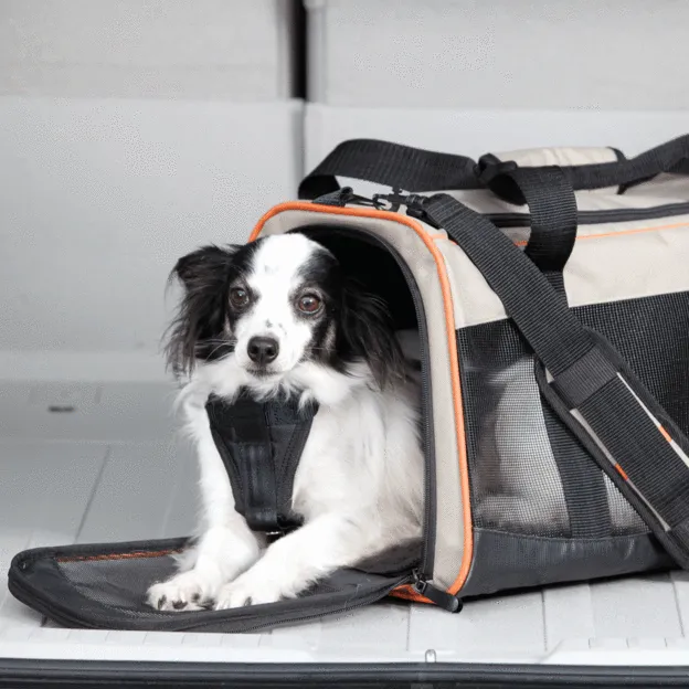 Wander Pet Carrier