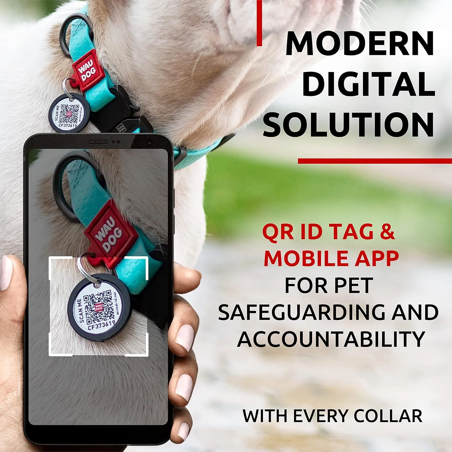 WAUDOG Waterproof Dog Collar - Adjustable Glow Dog Collar for Large Dogs, Small and Medium Dogs - Heavy Duty Dog Collars with Durable Metal Clasp and QR Dog Tag - Glow in The Dark Dog Collars