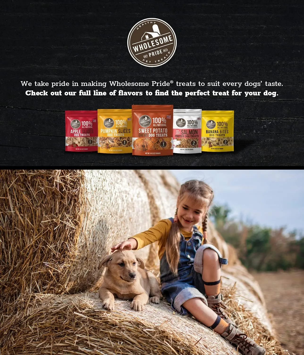 Wholesome Pride Sweet Potato Chews 100% All-Natural Single Ingredient Dog Treats, 16 oz