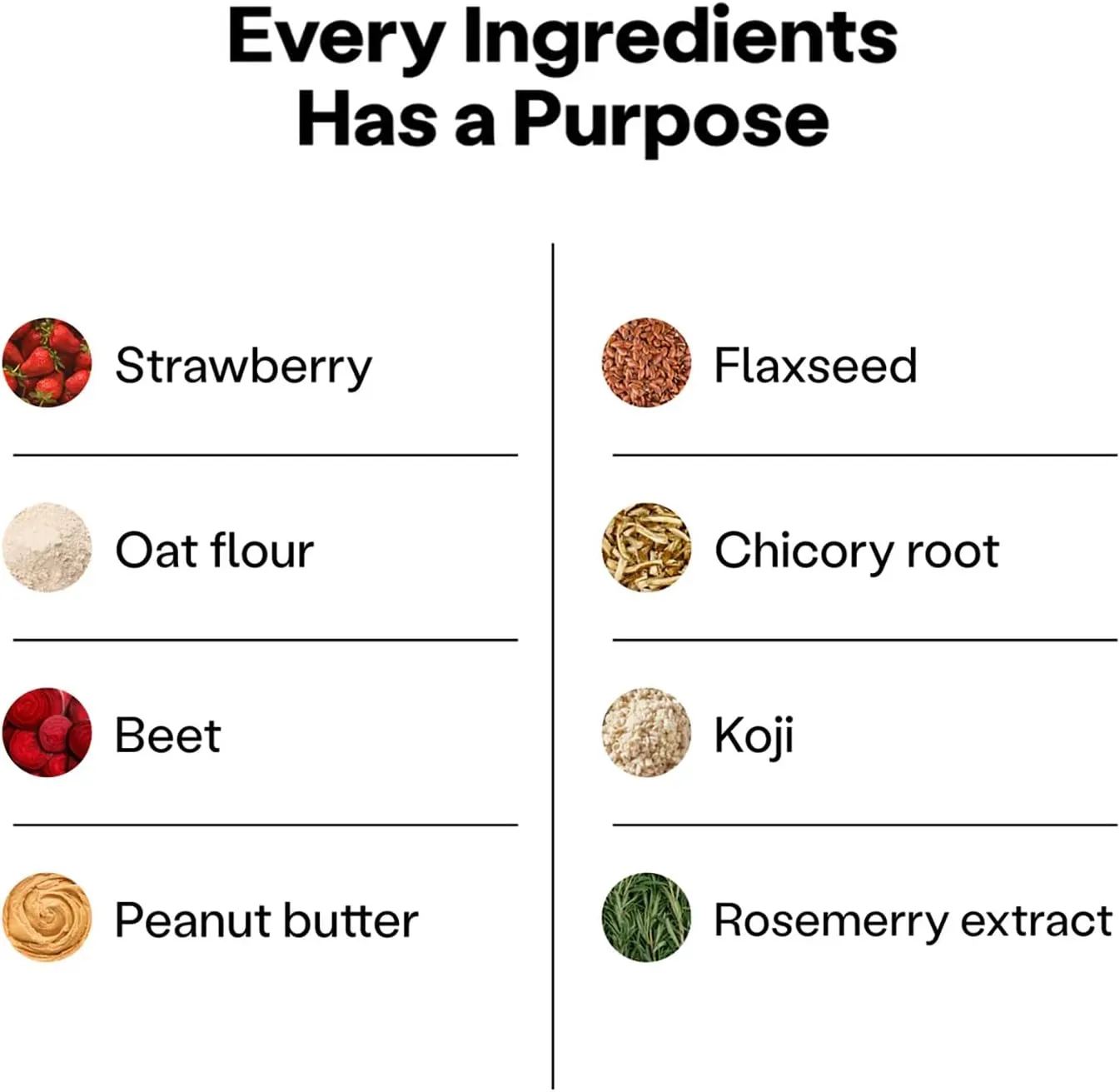 Wild Earth Superfood Dog Treats, Plant Based Dog Treats with Omega Acids, Prebiotics & Koji Protein, No Fillers, Veterinarian-Developed, Strawberry & Beet Flavor