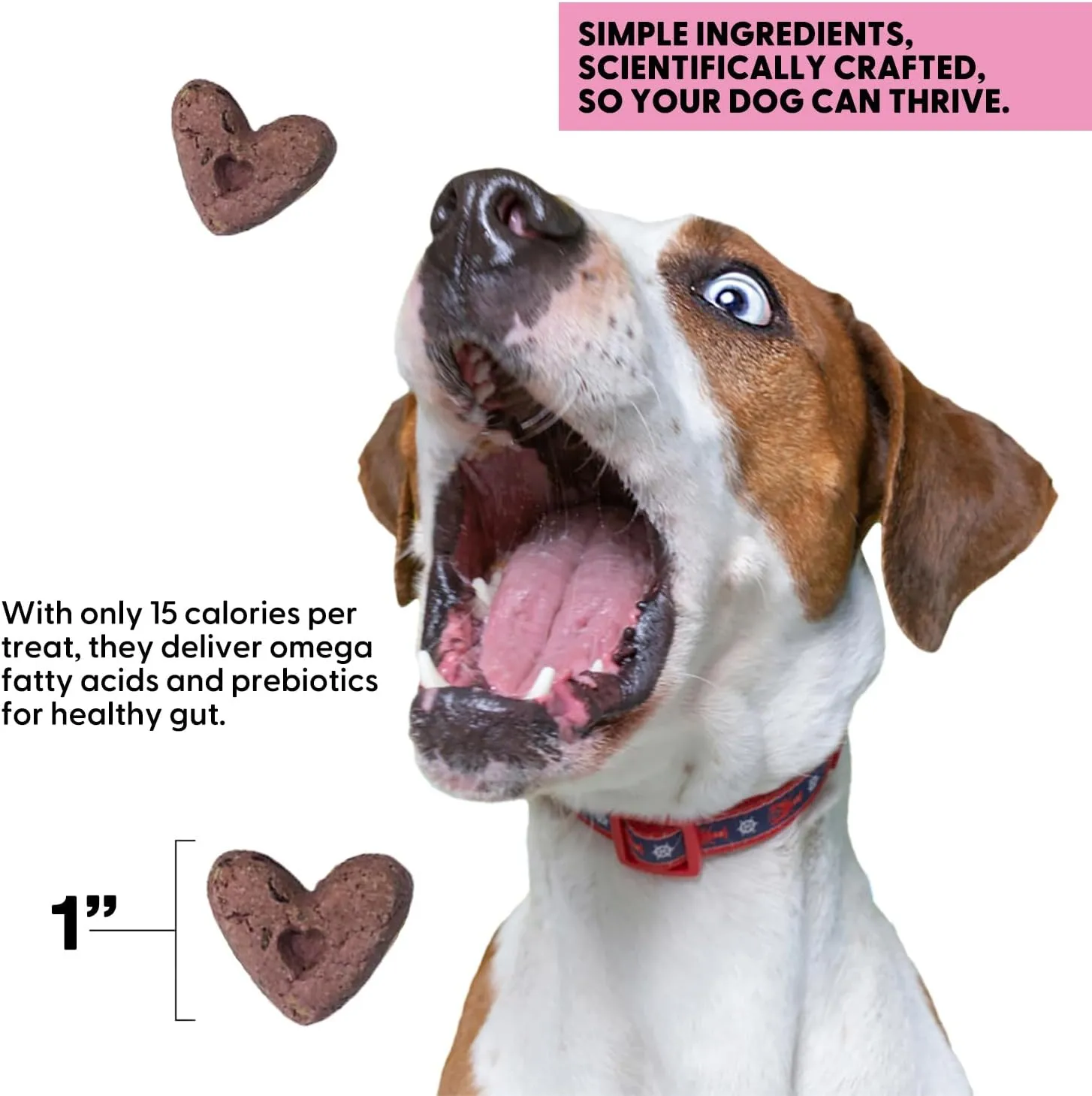 Wild Earth Superfood Dog Treats, Plant Based Dog Treats with Omega Acids, Prebiotics & Koji Protein, No Fillers, Veterinarian-Developed, Strawberry & Beet Flavor